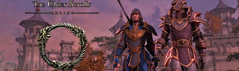 Геймплей The Elder Scrolls Online